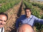 Lyna Tempranillo 2012