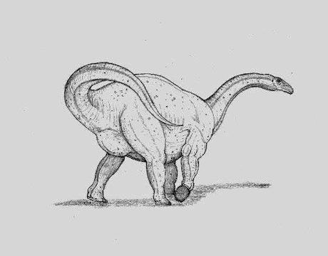 Dinoticias de la semana