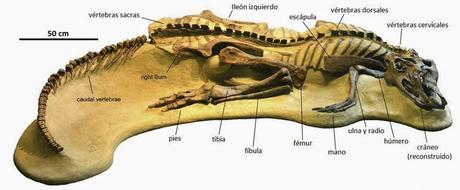 Dinoticias de la semana