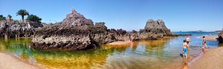 Día 466: La piel de serpiente también se cae en #sanjuan.