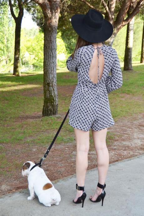 Dog is in the air 13