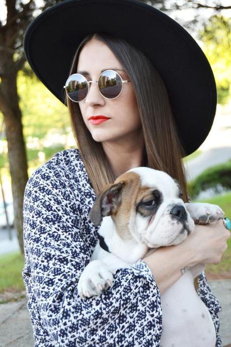 Dog is in the air 11