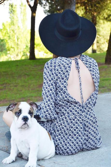 Dog is in the air 10