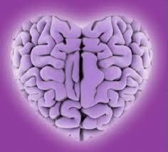 Neuromanagement: Introducción a la Inteligencia Emocional, por Daniel Goleman