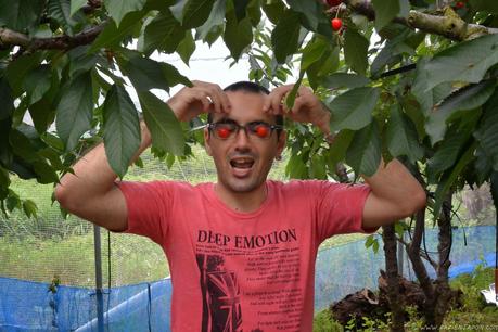 Preparando el viaje a Corea, y comiendo sakuranbo