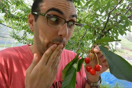 Preparando el viaje a Corea, y comiendo sakuranbo