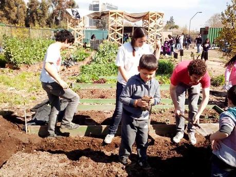 Biohuerto UC: La sustentabilidad y ecología como principios fundamentales