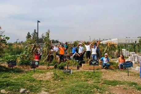 Biohuerto UC: La sustentabilidad y ecología como principios fundamentales