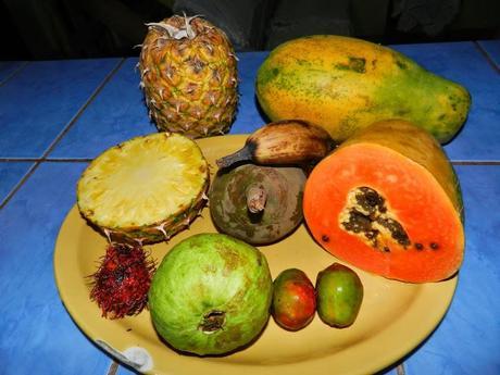 Los sabores de Costa Rica