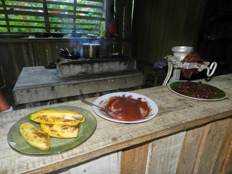 Los sabores de Costa Rica