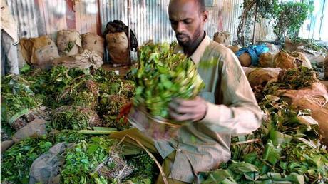 Comerciante somalí de khat en Kenia (foto de archivo)