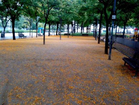 Viva la fiesta, o no....