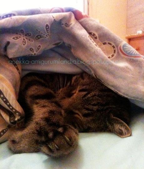 Viva la fiesta, o no....