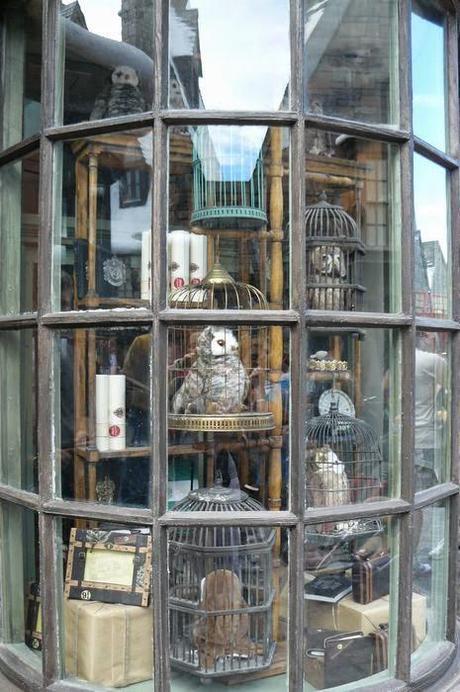 5 motivos para leer: Harry Potter