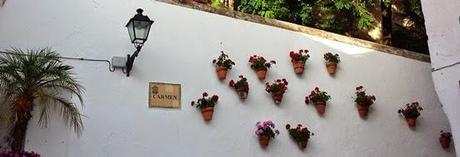 Cinco Motivos para visitar: Marbella