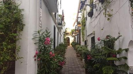 Cinco Motivos para visitar: Marbella