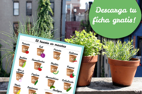 el huerto en macetas