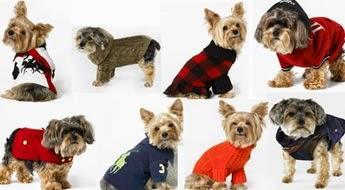 negocio+ropa+mascotas