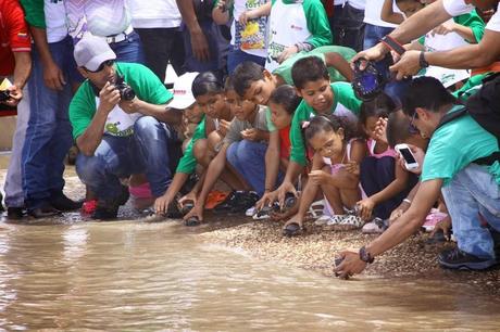 Ambiente libera 5.720 ejemplares de tortuga arrau en el río Orinoco