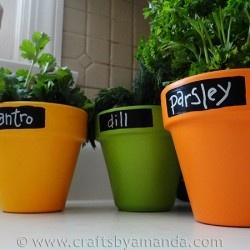 Organizando con pizarra...