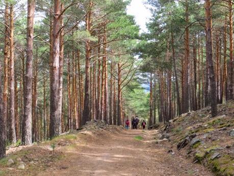 Entrenamiento IO Trailwalker – Tramos 4,5,6,7 y 8 – El retorno Entrenamiento IO Trailwalker – Tramos 4,5,6,7 y 8 – El retorno