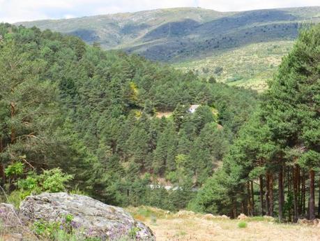 Entrenamiento IO Trailwalker – Tramos 4,5,6,7 y 8 – El retorno Entrenamiento IO Trailwalker – Tramos 4,5,6,7 y 8 – El retorno