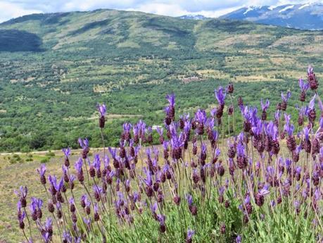 Entrenamiento IO Trailwalker – Tramos 4,5,6,7 y 8 – El retorno