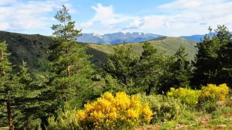 Entrenamiento IO Trailwalker – Tramos 4,5,6,7 y 8 – El retorno Entrenamiento IO Trailwalker – Tramos 4,5,6,7 y 8 – El retorno