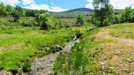 Entrenamiento IO Trailwalker – Tramos 4,5,6,7 y 8 – El retorno Entrenamiento IO Trailwalker – Tramos 4,5,6,7 y 8 – El retorno