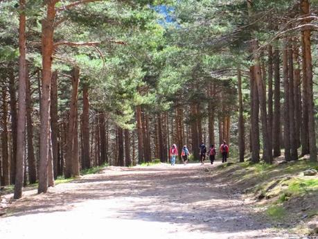 Entrenamiento IO Trailwalker – Tramos 4,5,6,7 y 8 – El retorno Entrenamiento IO Trailwalker – Tramos 4,5,6,7 y 8 – El retorno