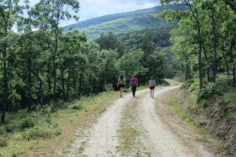 Entrenamiento IO Trailwalker – Tramos 4,5,6,7 y 8 – El retorno Entrenamiento IO Trailwalker – Tramos 4,5,6,7 y 8 – El retorno