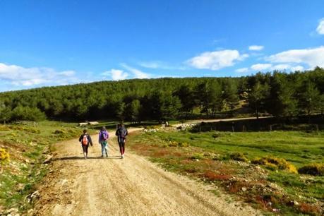 Entrenamiento IO Trailwalker – Tramos 4,5,6,7 y 8 – El retorno Entrenamiento IO Trailwalker – Tramos 4,5,6,7 y 8 – El retorno