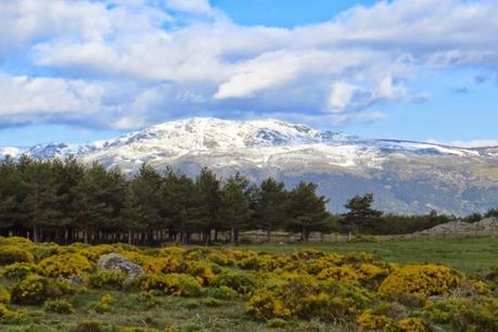 Entrenamiento IO Trailwalker – Tramos 4,5,6,7 y 8 – El retorno