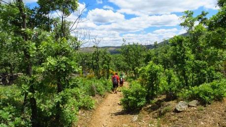 Entrenamiento IO Trailwalker – Tramos 4,5,6,7 y 8 – El retorno