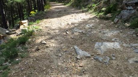 Entrenamiento IO Trailwalker – Tramos 4,5,6,7 y 8 – El retorno Entrenamiento IO Trailwalker – Tramos 4,5,6,7 y 8 – El retorno