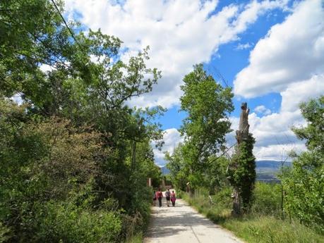 Entrenamiento IO Trailwalker – Tramos 4,5,6,7 y 8 – El retorno Entrenamiento IO Trailwalker – Tramos 4,5,6,7 y 8 – El retorno