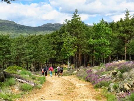 Entrenamiento IO Trailwalker – Tramos 4,5,6,7 y 8 – El retorno Entrenamiento IO Trailwalker – Tramos 4,5,6,7 y 8 – El retorno