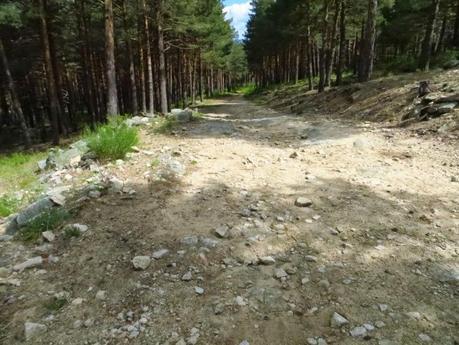 Entrenamiento IO Trailwalker – Tramos 4,5,6,7 y 8 – El retorno Entrenamiento IO Trailwalker – Tramos 4,5,6,7 y 8 – El retorno