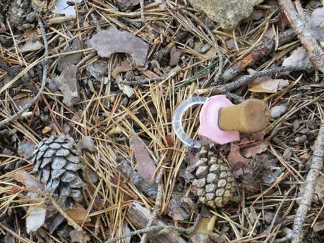 Entrenamiento IO Trailwalker – Tramos 4,5,6,7 y 8 – El retorno Entrenamiento IO Trailwalker – Tramos 4,5,6,7 y 8 – El retorno