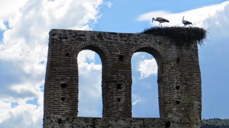 Entrenamiento IO Trailwalker – Tramos 4,5,6,7 y 8 – El retorno Entrenamiento IO Trailwalker – Tramos 4,5,6,7 y 8 – El retorno