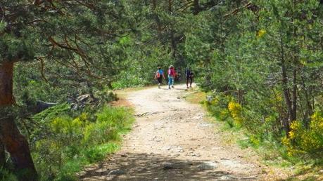 Entrenamiento IO Trailwalker – Tramos 4,5,6,7 y 8 – El retorno