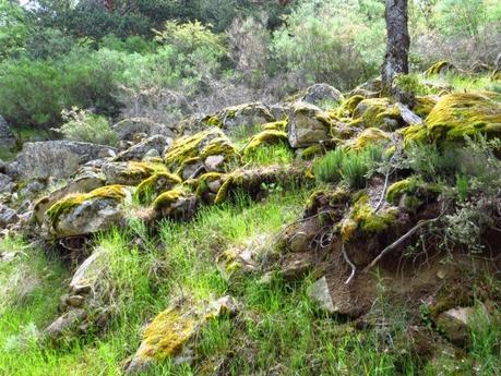 Entrenamiento IO Trailwalker – Tramos 4,5,6,7 y 8 – El retorno Entrenamiento IO Trailwalker – Tramos 4,5,6,7 y 8 – El retorno