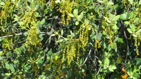 Entrenamiento IO Trailwalker – Tramos 4,5,6,7 y 8 – El retorno Entrenamiento IO Trailwalker – Tramos 4,5,6,7 y 8 – El retorno