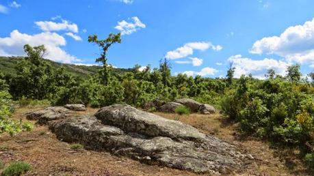 Entrenamiento IO Trailwalker – Tramos 4,5,6,7 y 8 – El retorno Entrenamiento IO Trailwalker – Tramos 4,5,6,7 y 8 – El retorno