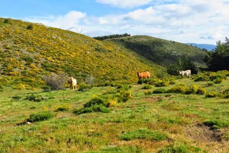 Entrenamiento IO Trailwalker – Tramos 4,5,6,7 y 8 – El retorno Entrenamiento IO Trailwalker – Tramos 4,5,6,7 y 8 – El retorno