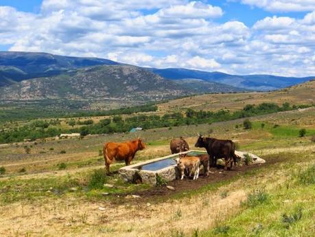 Entrenamiento IO Trailwalker – Tramos 4,5,6,7 y 8 – El retorno Entrenamiento IO Trailwalker – Tramos 4,5,6,7 y 8 – El retorno