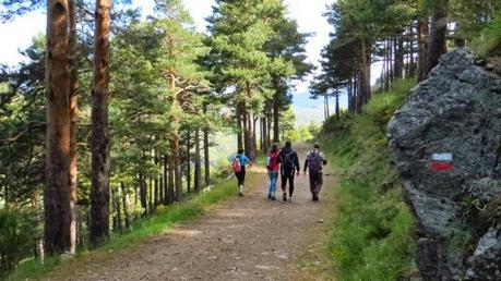 Entrenamiento IO Trailwalker – Tramos 4,5,6,7 y 8 – El retorno Entrenamiento IO Trailwalker – Tramos 4,5,6,7 y 8 – El retorno