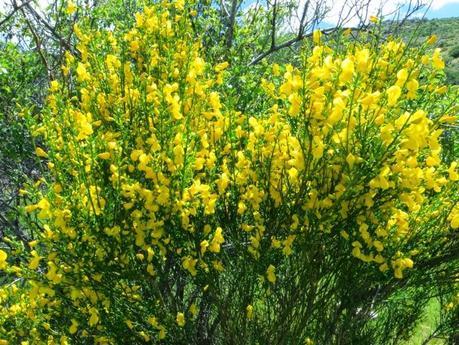 Entrenamiento IO Trailwalker – Tramos 4,5,6,7 y 8 – El retorno Entrenamiento IO Trailwalker – Tramos 4,5,6,7 y 8 – El retorno