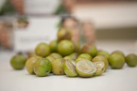 Camu Camu, El Secreto de las Tribus Sin Edad