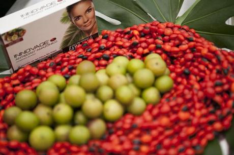 Camu Camu, El Secreto de las Tribus Sin Edad